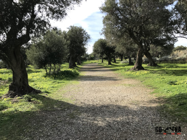 Laghetto di Venere Milazzo