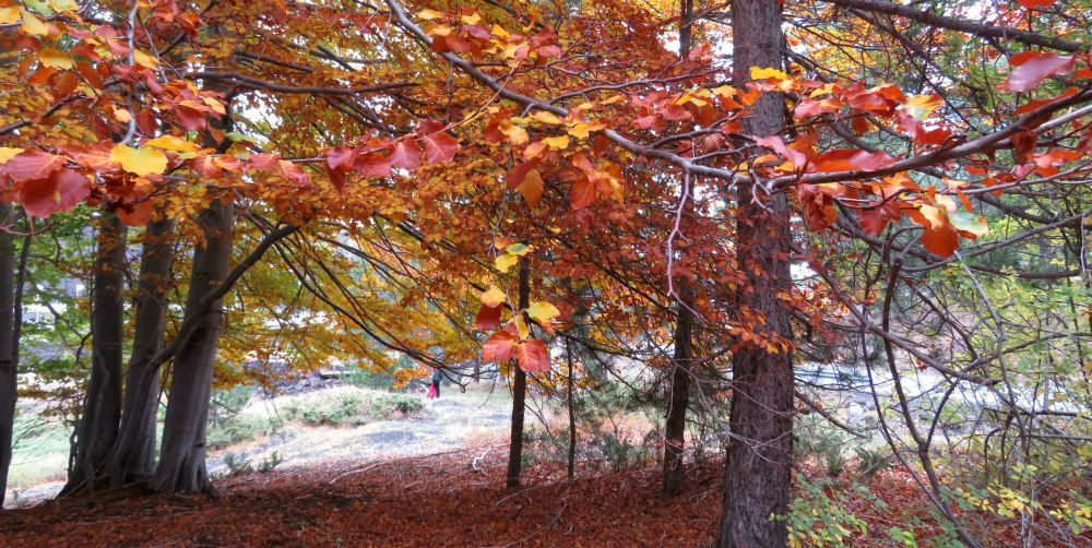 etna autunno 01