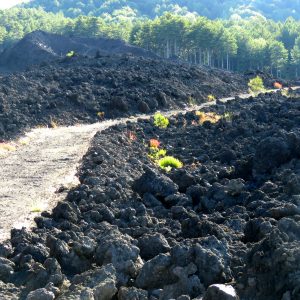 La lava dell’Etna, conosciamo questa pietra unica