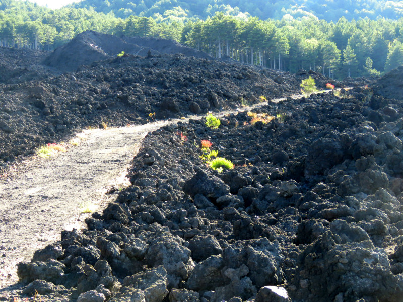 lava etna (1)