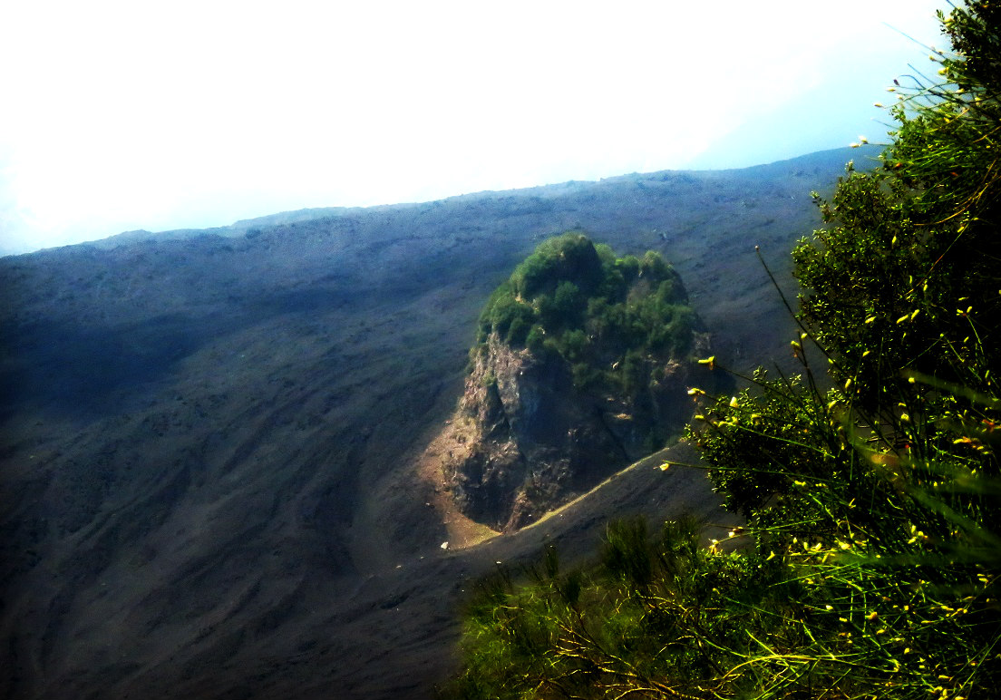 rocca musarra