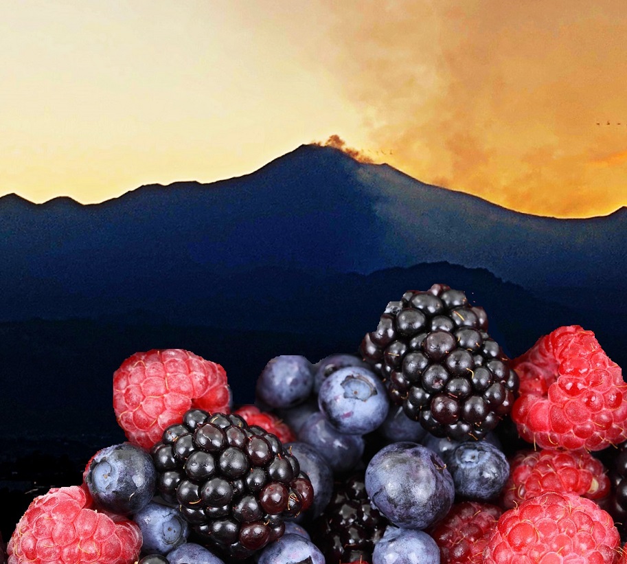 etna mirtilli tops