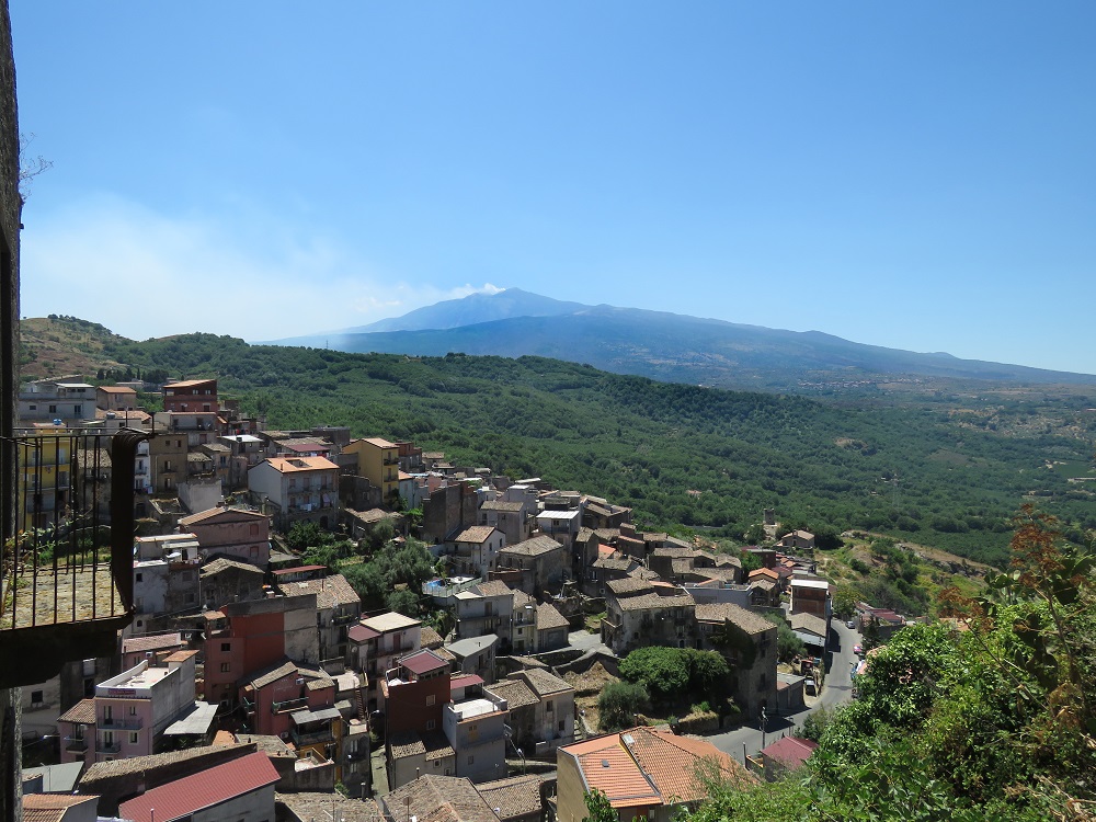 vini solicchiata