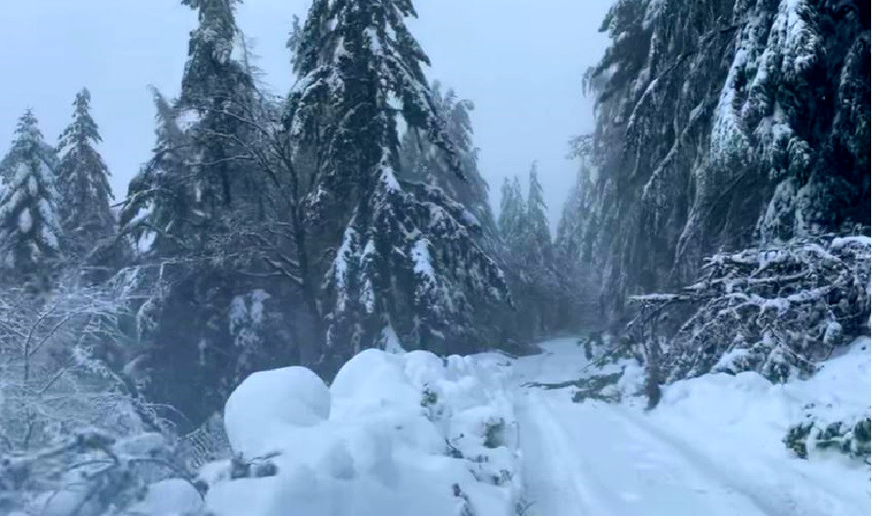 NEVICATA FEB 23