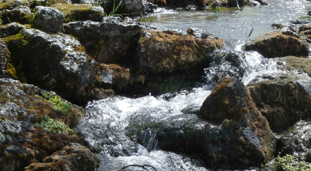 torrente 40 ore