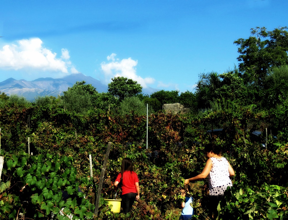 ETNA MAMMA