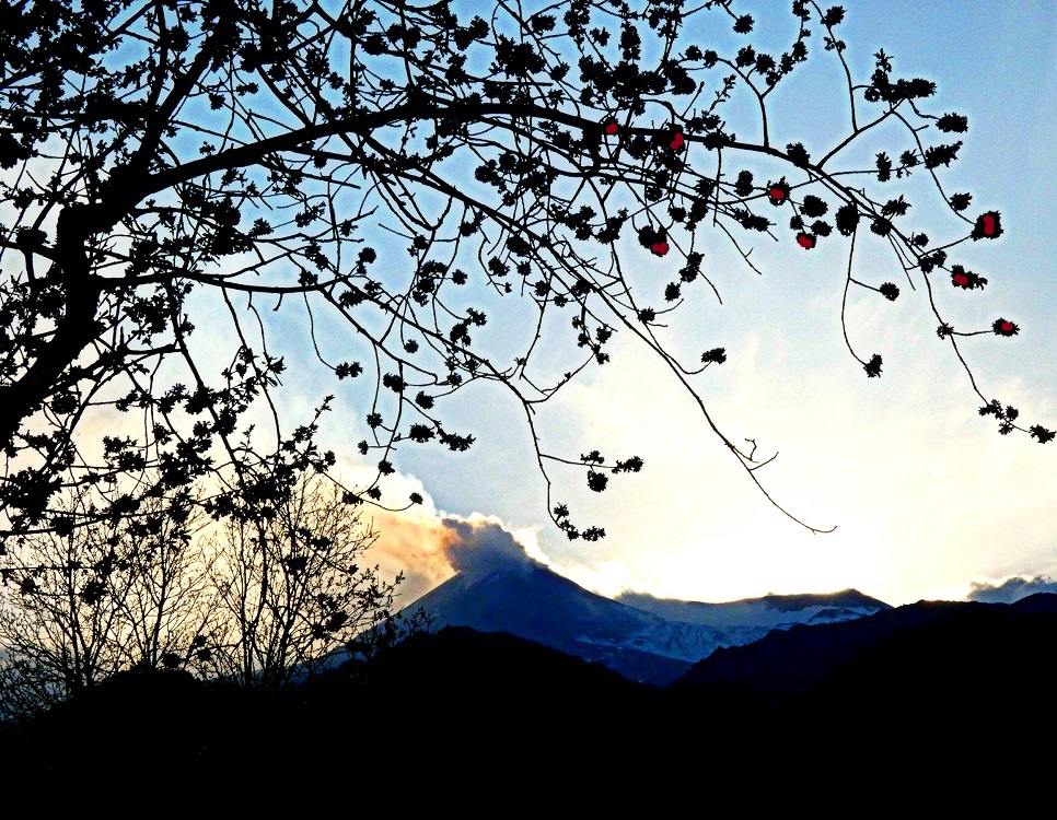 ciliegieetna