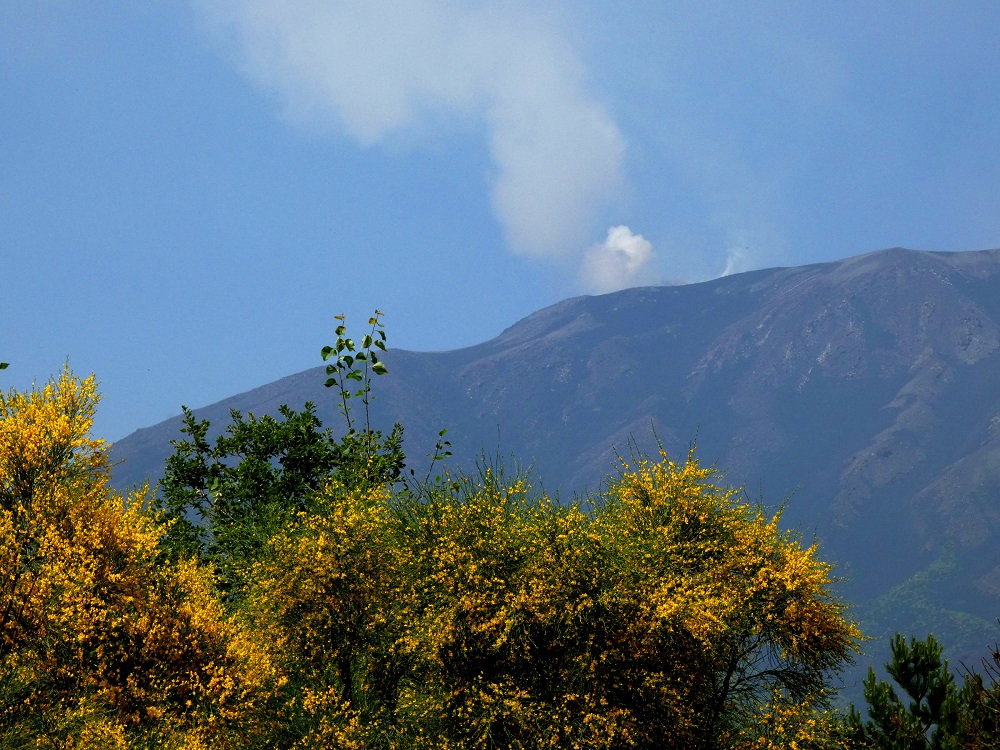luoghi estate ETNA_ TOP