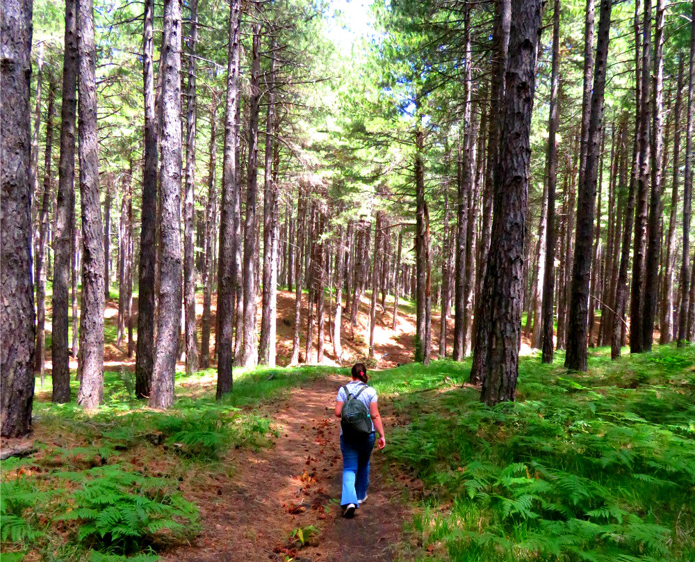 trekking hiking etna
