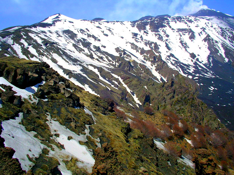 schiena dell asino