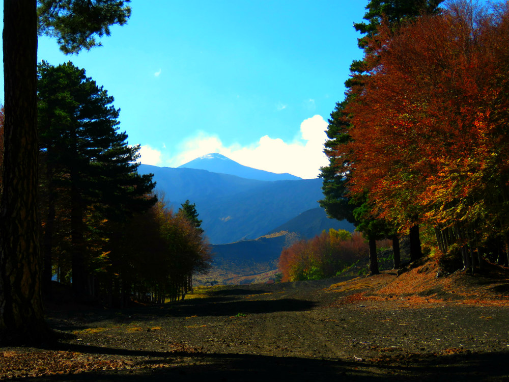 dagale autunno1