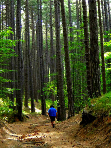 etna escursionisti 2