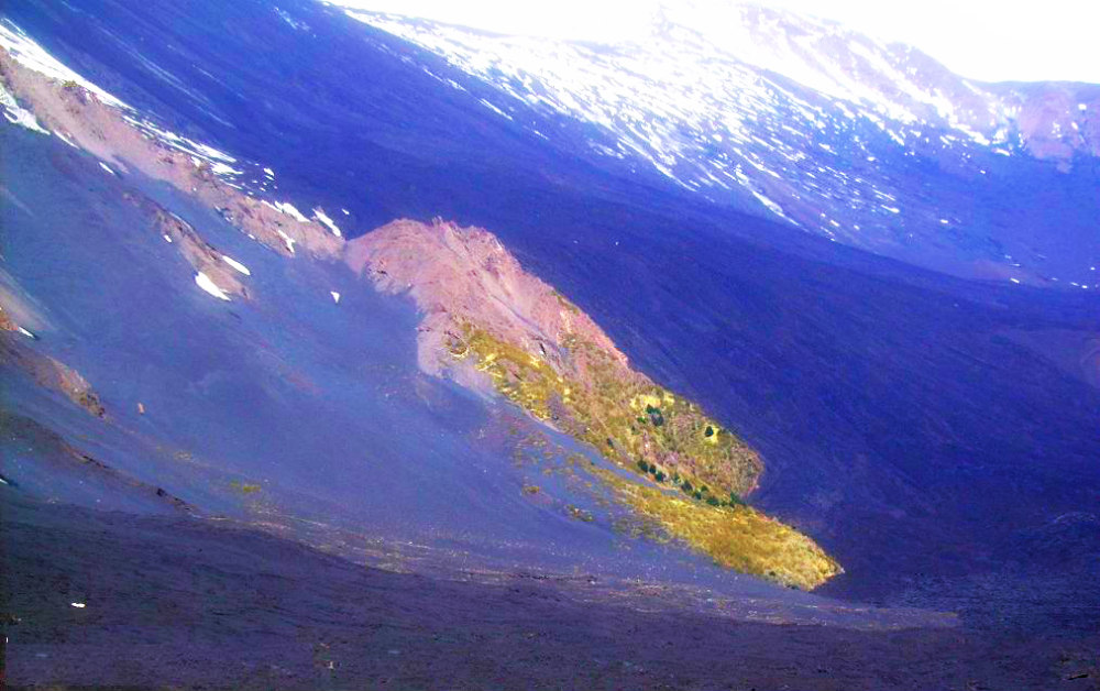 VALLE DEL BOVE CAPRE