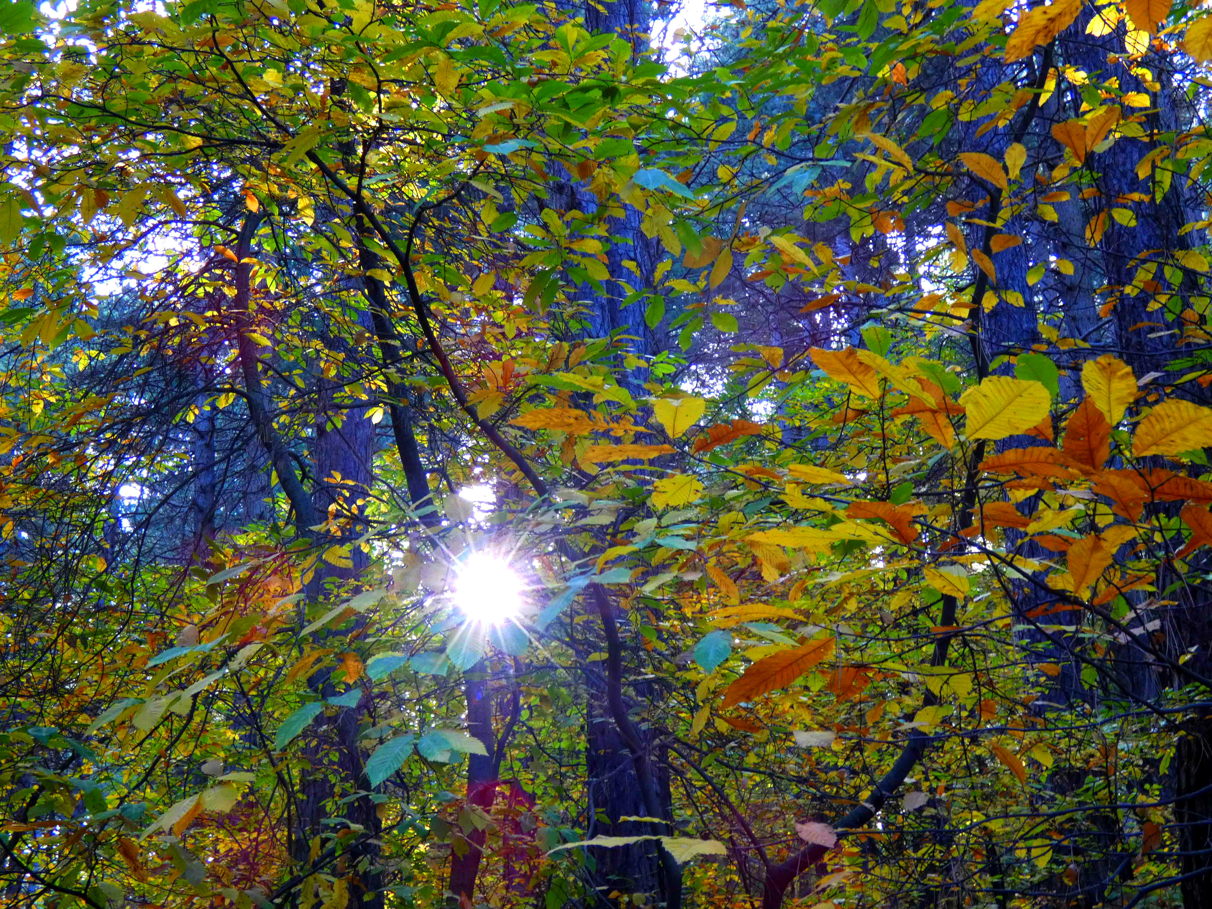 sport autunno etna (2)
